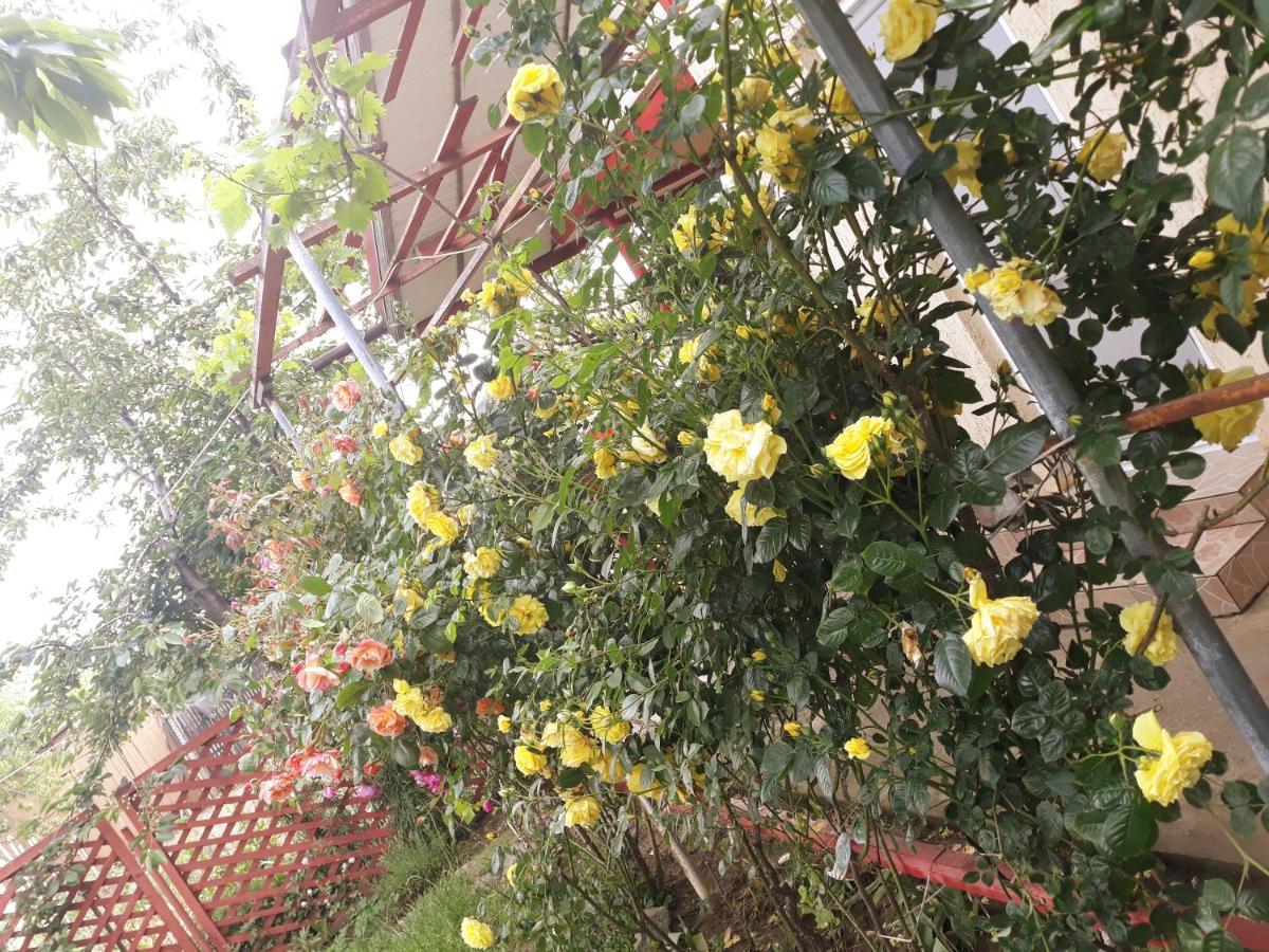 Casa De Vacanta Alexoiu 2 Mai Două Mai Exterior foto